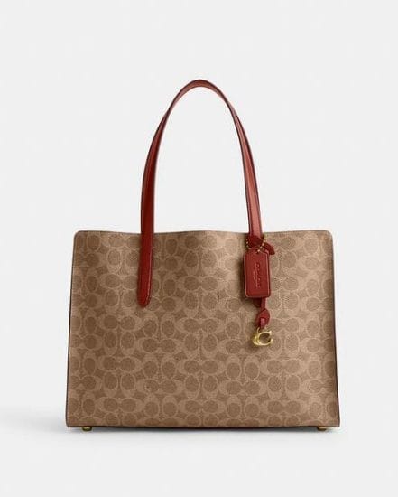 Fashion 4 Coach Carter Carryall In Signature Canvas