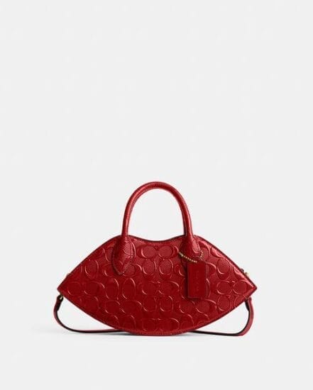 Fashion 4 Coach Lip Bag In Signature Leather