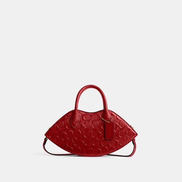 Fashion 4 Coach Lip Bag In Signature Leather