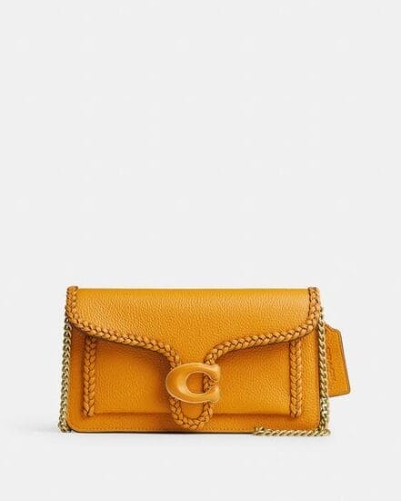 Fashion 4 Coach Tabby Chain Clutch With Braid