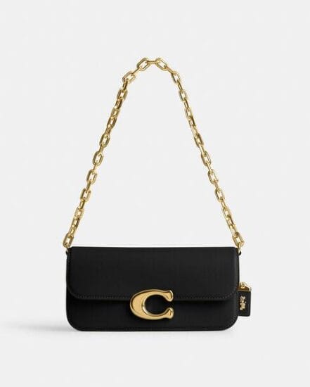 Fashion 4 Coach Idol Bag 23