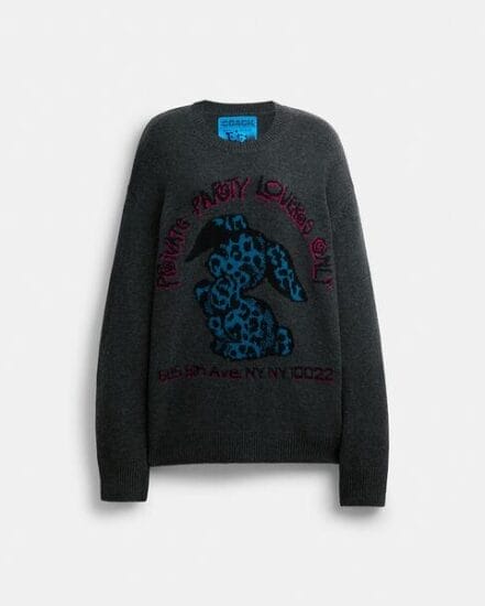 Fashion 4 Coach The Lil Nas X Drop Bunny Sweater