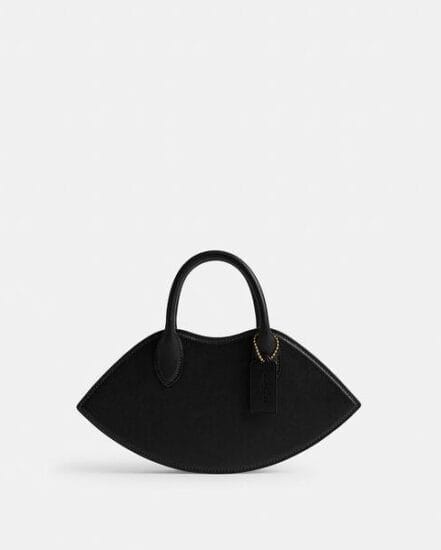 Fashion 4 Coach Lip Bag