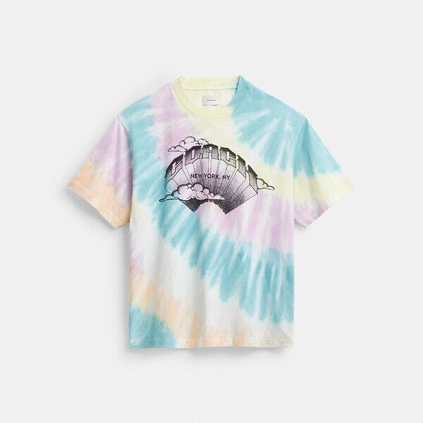 Fashion 4 Coach Tie-Dye Crewneck T-Shirt