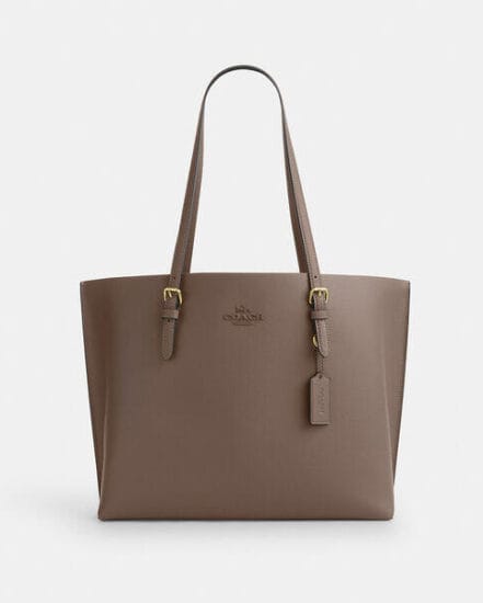 Fashion 4 Coach Mollie Tote Bag