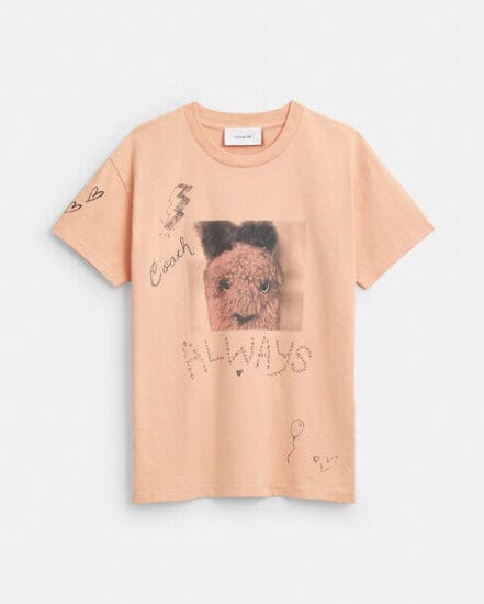 Fashion 4 Coach Carroty Shrunken T-Shirt In Organic Cotton